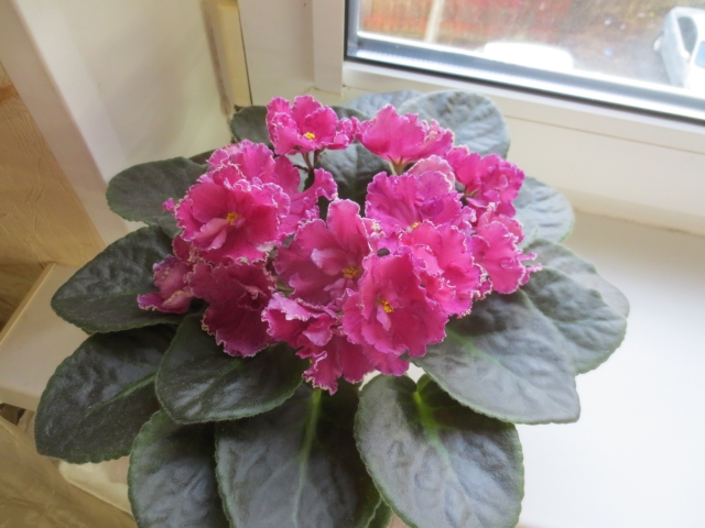 2015-04-01 11-04-23.jpg