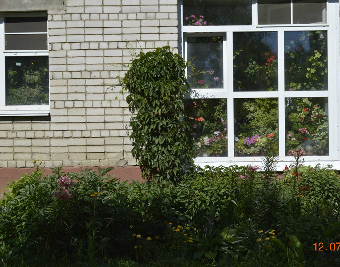 и 6.jpg