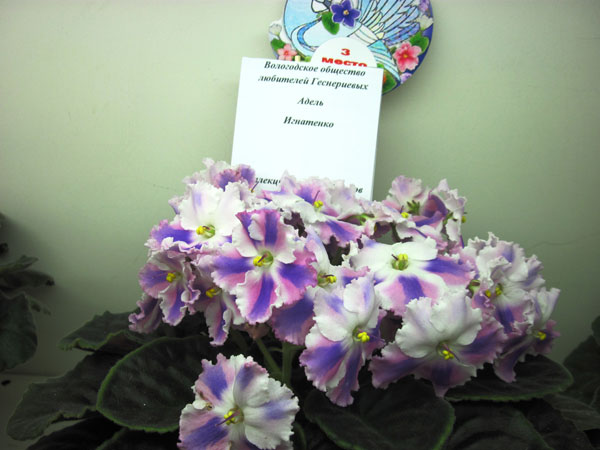 IMG_5400.jpg