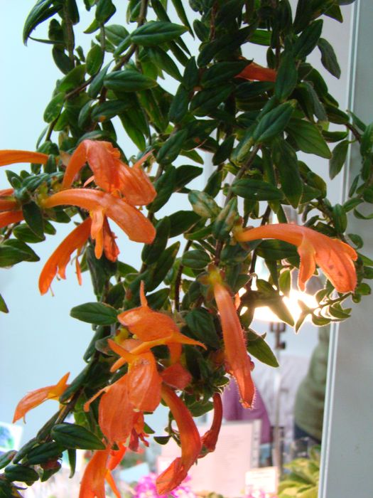 DSC06851.JPG