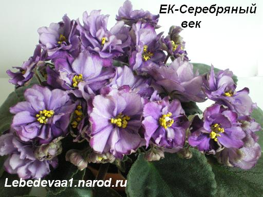 ЕК-Серебряный век 28.04.09 20-20 текст.JPG