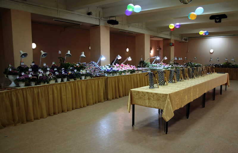 IMG_4687.JPG