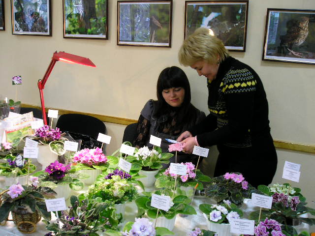 P1010005.jpg