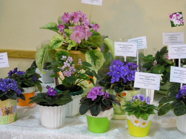 P1010009.JPG