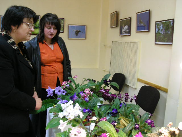 P1010012.JPG