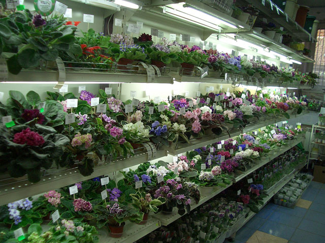 CIMG0018.JPG