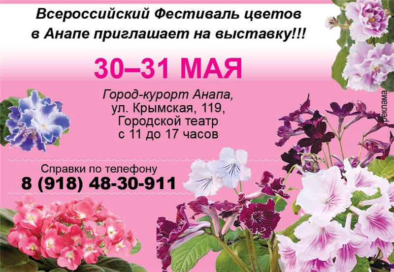 3217b0437fc2.jpg