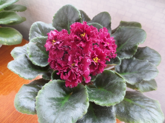 2015-05-23 10-35-08.jpg