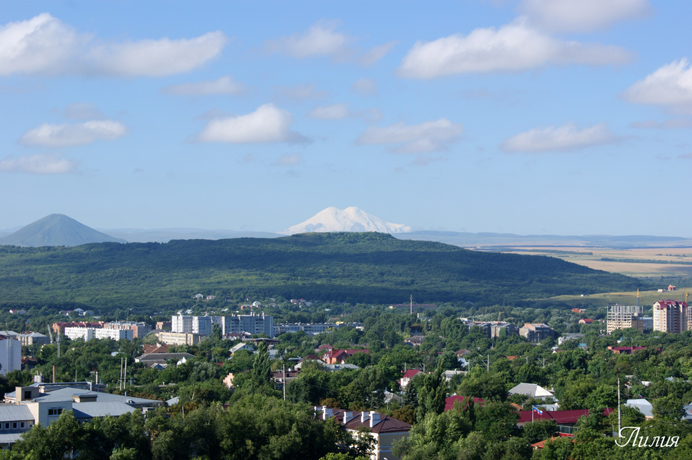 Копия DSC01409.jpg