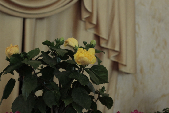 _MG_9892.JPG