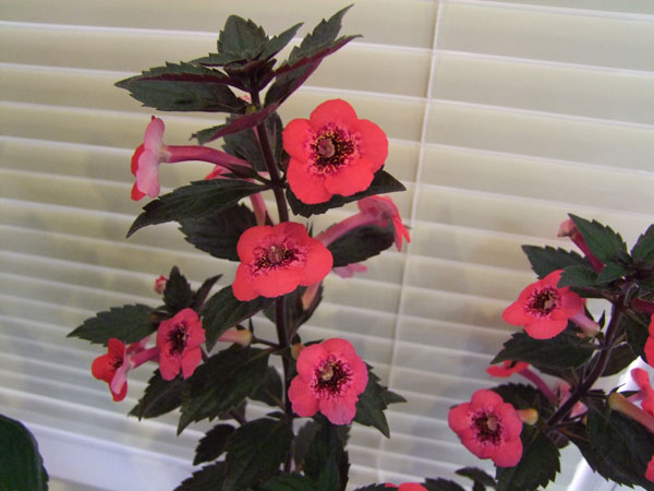 2015_06160224.jpg