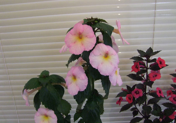 2015_06160222.jpg