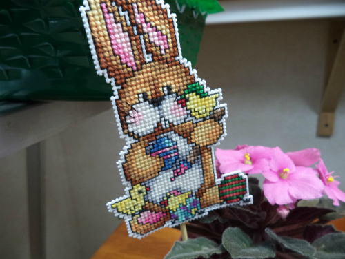DSC00903.jpg