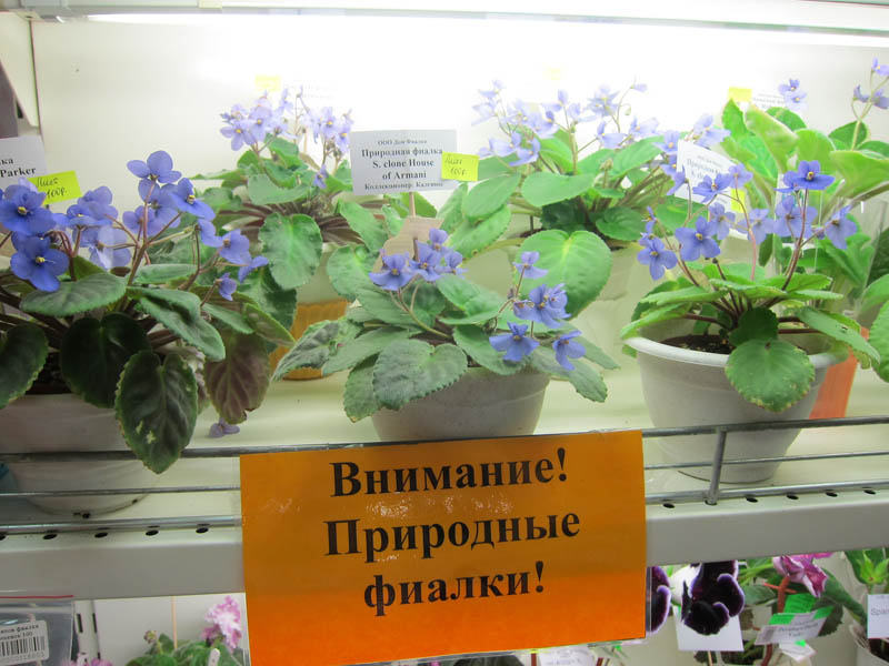 IMG_4561.JPG