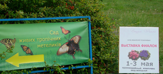 афиша.jpg