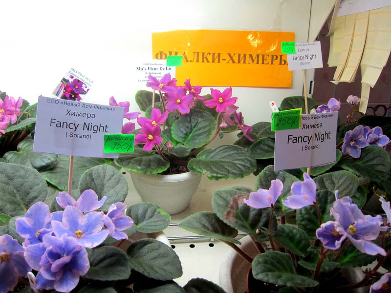 Калгины IMG_4884.JPG