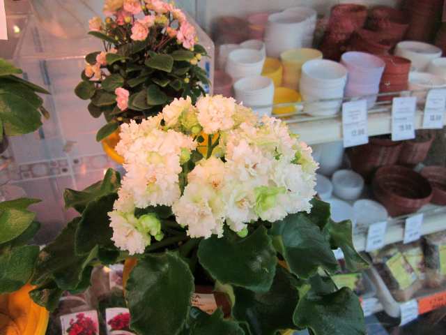 IMG_5848#001.jpg