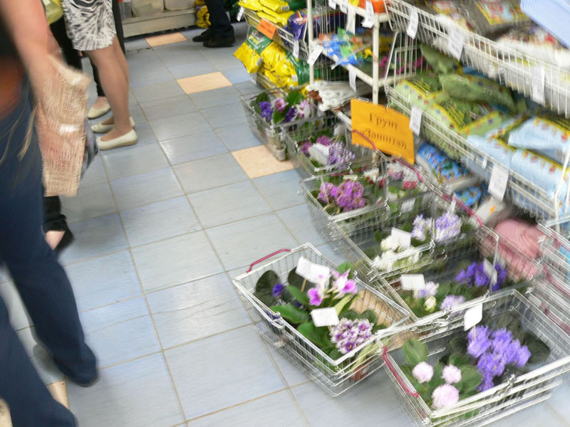 P1810582.JPG
