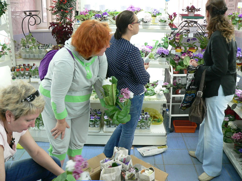 P1810697.jpg