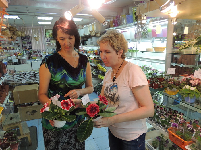 DSCN9257.JPG
