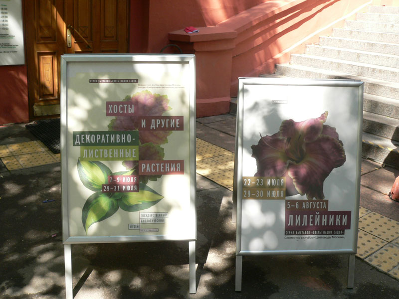 P1820006.JPG