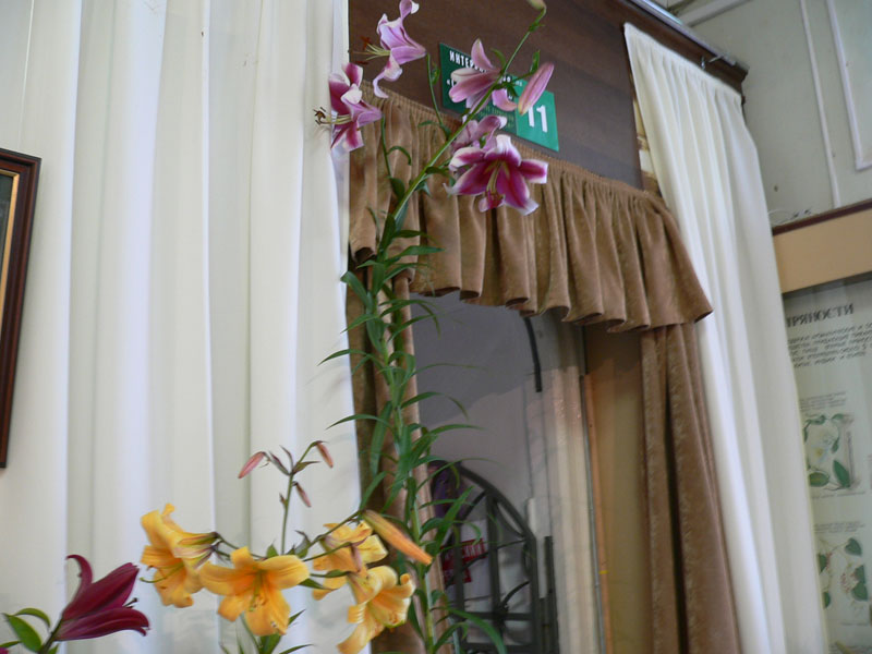 P1810991.JPG