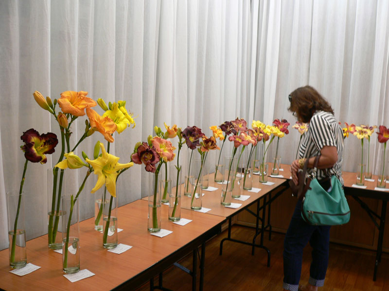 P1810944.JPG