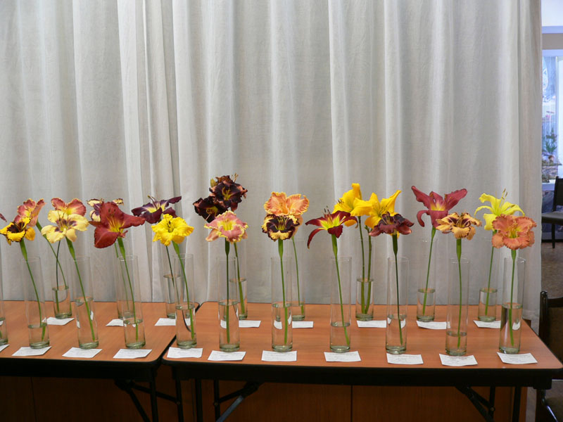 P1810946.JPG