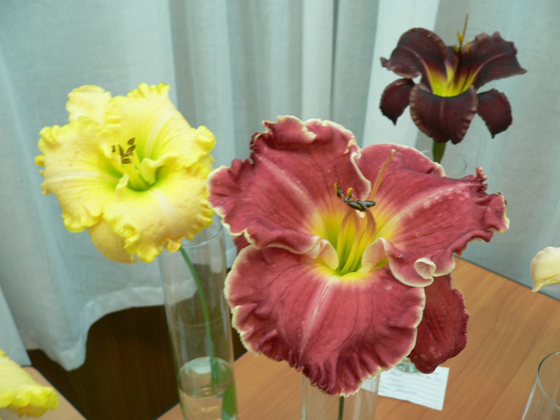 P1810969.JPG