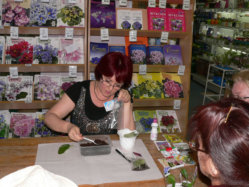 P1820150.JPG