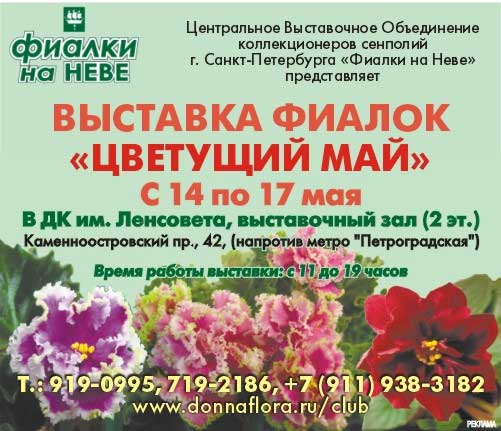 Афиша.jpg