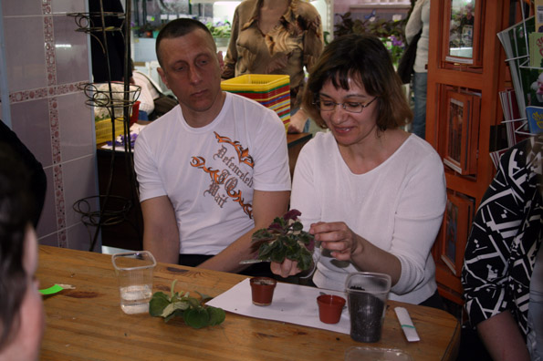 IMG_9033.JPG