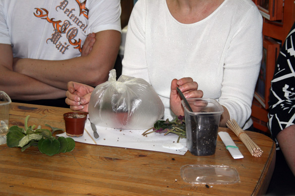 IMG_9043.JPG