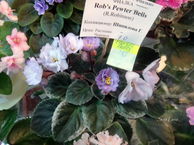 Rob's Pewter Bells коллекционер Шипилова Г.