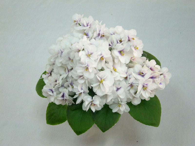 СК-Новая Жизнь (А.Кузнецов) колл. Кузнецов.JPG