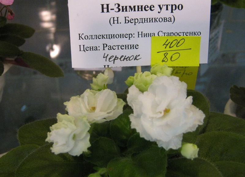 IMG_5618.JPG
