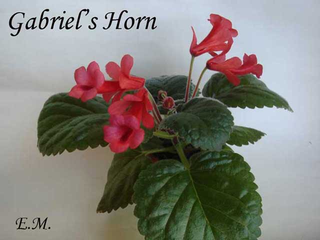 Gabriel's-Horn-.jpg