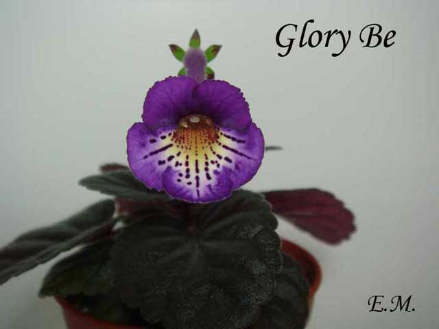 Glory-Be+.jpg