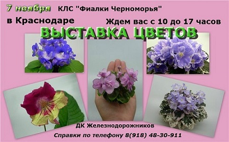 -929206895 - копия.jpg