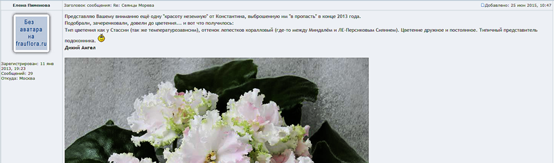 Безымянный 3.png