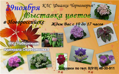 новоросс афиша.jpg