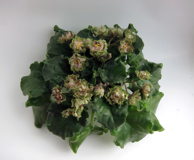 ЛЕ-Хозяйка-Медной-Горы.jpg