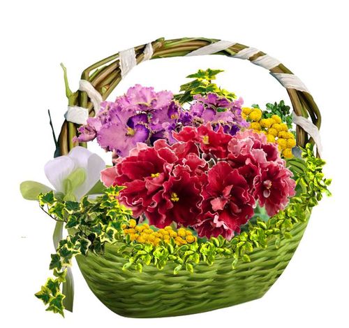 43 Копия.jpg