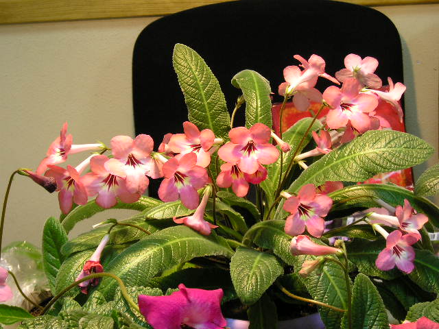 P1010209.JPG