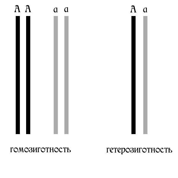 2б.jpg