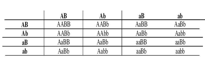 3а.jpg