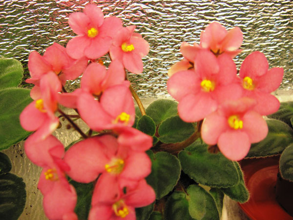 IMG_6197.jpg