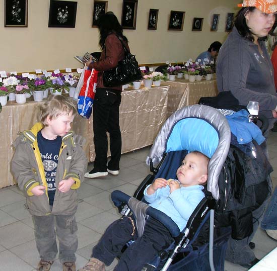 дети.jpg