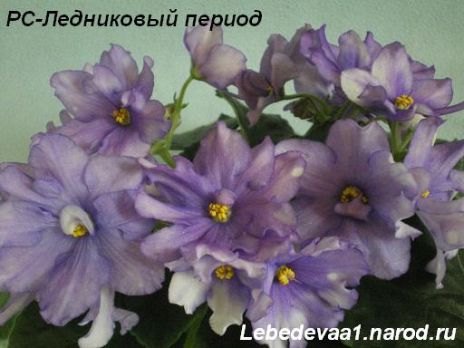 РС-Ледниковый период 16.05.09 (16) 20-20 4 текст.JPG