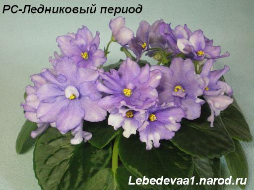 РС-Ледниковый период 16.05.09 (6) 20-20 3 текст.JPG